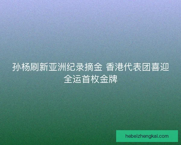 孙杨刷新亚洲纪录摘金 香港代表团喜迎全运首枚金牌
