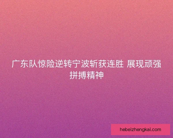 广东队惊险逆转宁波斩获连胜 展现顽强拼搏精神