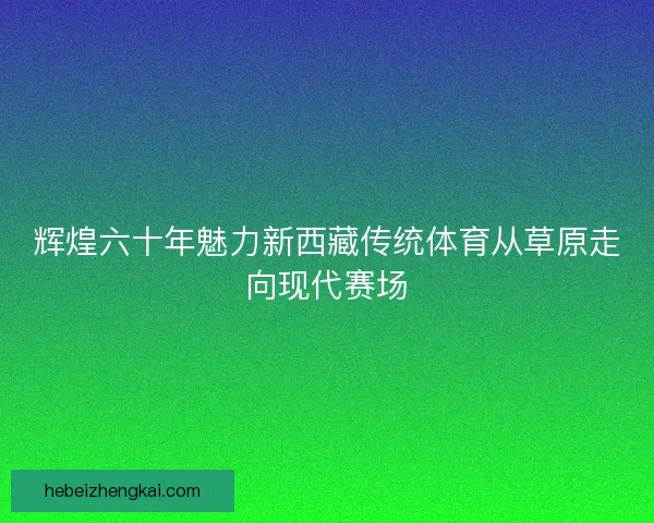 辉煌六十年魅力新西藏传统体育从草原走向现代赛场